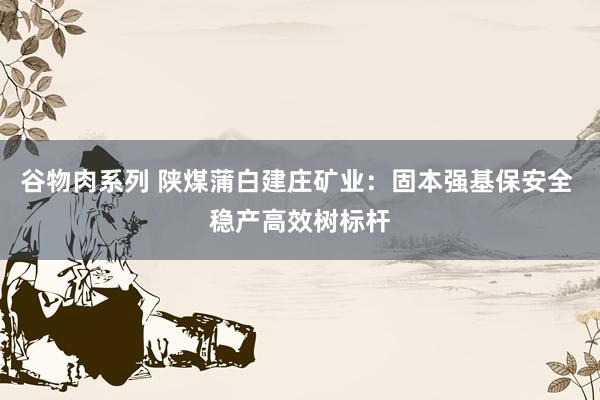 谷物肉系列 陕煤蒲白建庄矿业：固本强基保安全 稳产高效树标杆