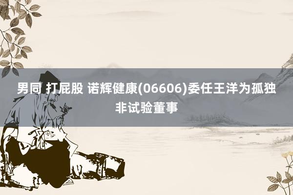 男同 打屁股 诺辉健康(06606)委任王洋为孤独非试验董事