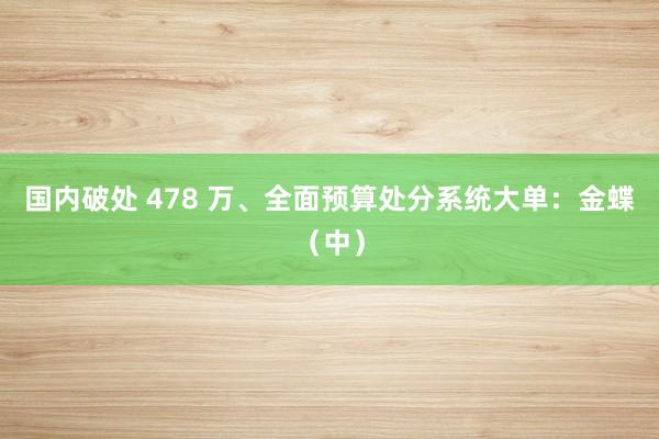国内破处 478 万、全面预算处分系统大单：金蝶（中）
