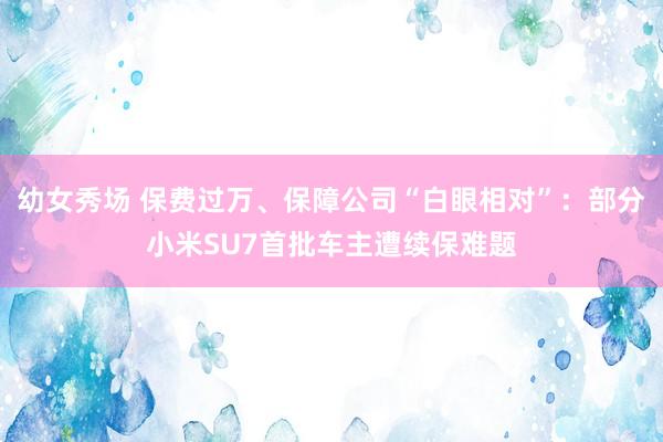 幼女秀场 保费过万、保障公司“白眼相对”：部分小米SU7首批车主遭续保难题