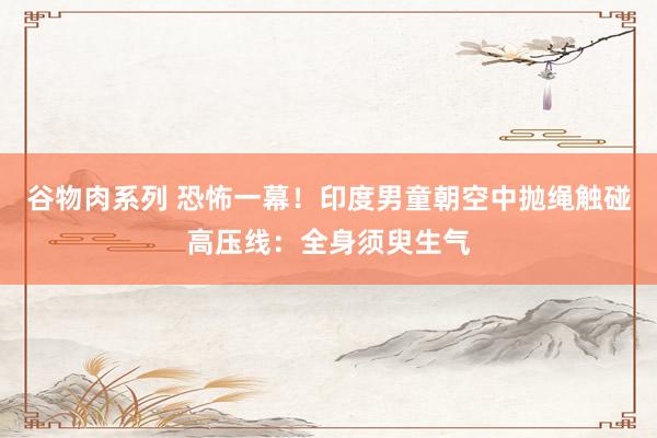 谷物肉系列 恐怖一幕！印度男童朝空中抛绳触碰高压线：全身须臾生气