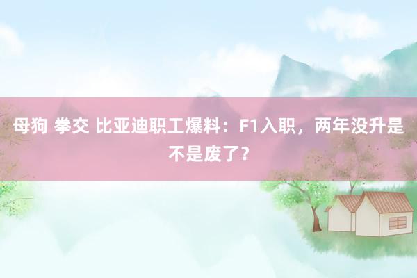 母狗 拳交 比亚迪职工爆料：F1入职，两年没升是不是废了？