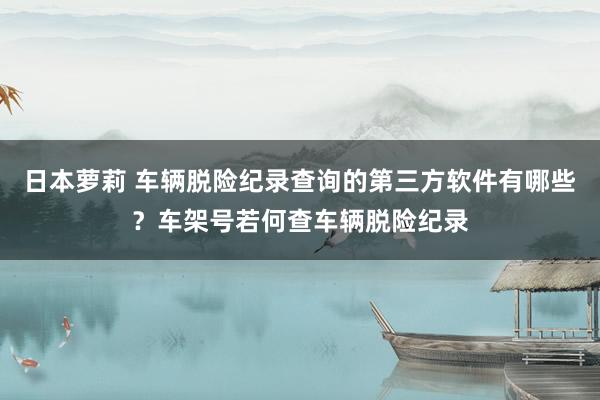 日本萝莉 车辆脱险纪录查询的第三方软件有哪些？车架号若何查车辆脱险纪录
