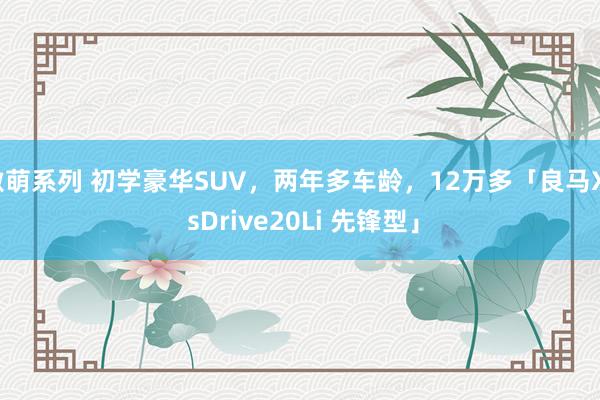 激萌系列 初学豪华SUV，两年多车龄，12万多「良马X1 sDrive20Li 先锋型」