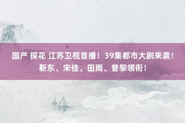 国产 探花 江苏卫视首播！39集都市大剧来袭！靳东、宋佳、田雨、曾黎领衔！