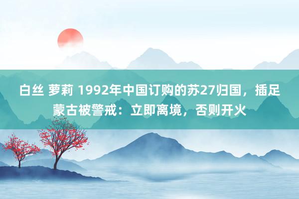 白丝 萝莉 1992年中国订购的苏27归国，插足蒙古被警戒：立即离境，否则开火