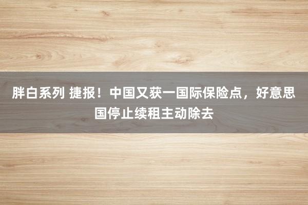 胖白系列 捷报！中国又获一国际保险点，好意思国停止续租主动除去