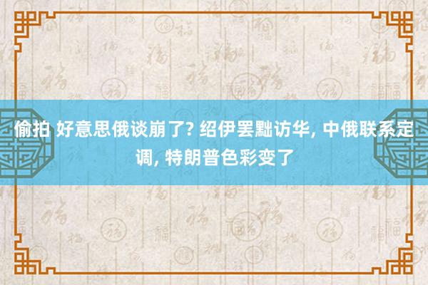 偷拍 好意思俄谈崩了? 绍伊罢黜访华， 中俄联系定调， 特朗普色彩变了