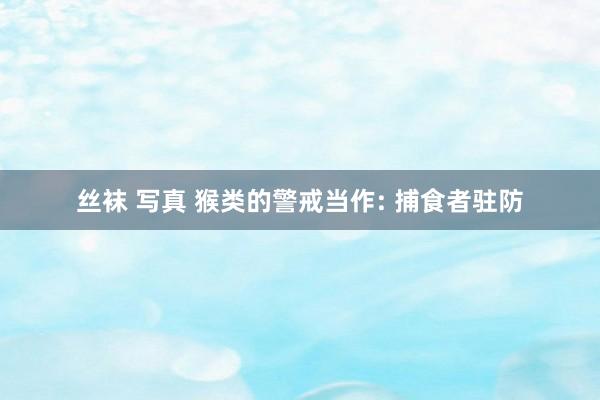 丝袜 写真 猴类的警戒当作: 捕食者驻防