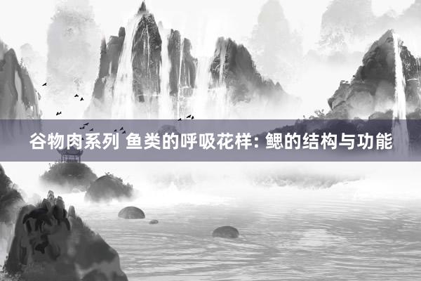 谷物肉系列 鱼类的呼吸花样: 鳃的结构与功能
