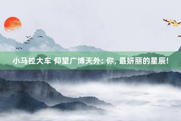 小马拉大车 仰望广博天外: 你， 最妍丽的星辰!