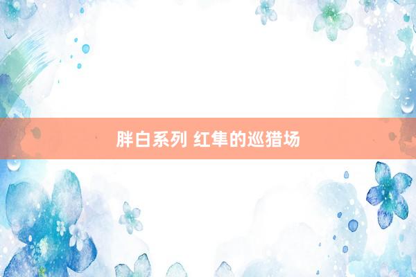 胖白系列 红隼的巡猎场