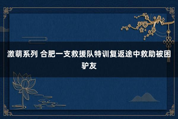 激萌系列 合肥一支救援队特训复返途中救助被困驴友