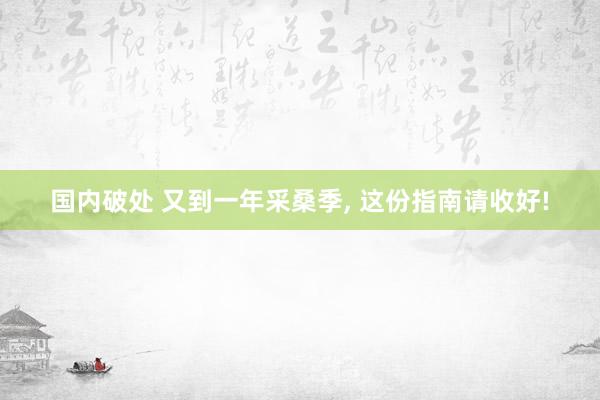 国内破处 又到一年采桑季， 这份指南请收好!