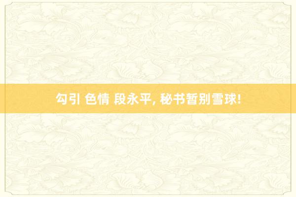 勾引 色情 段永平， 秘书暂别雪球!