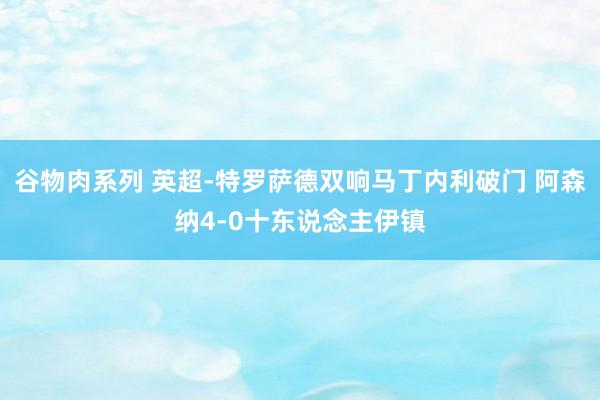 谷物肉系列 英超-特罗萨德双响马丁内利破门 阿森纳4-0十东说念主伊镇
