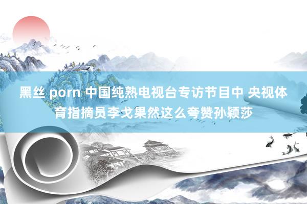 黑丝 porn 中国纯熟电视台专访节目中 央视体育指摘员李戈果然这么夸赞孙颖莎