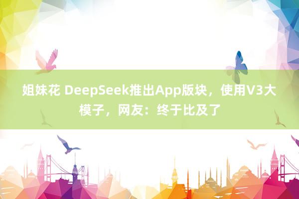 姐妹花 DeepSeek推出App版块，使用V3大模子，网友：终于比及了