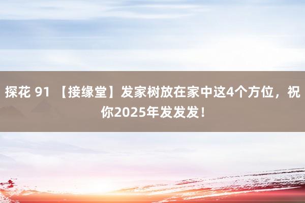 探花 91 【接缘堂】发家树放在家中这4个方位，祝你2025年发发发！