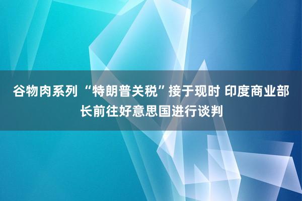 谷物肉系列 “特朗普关税”接于现时 印度商业部长前往好意思国进行谈判